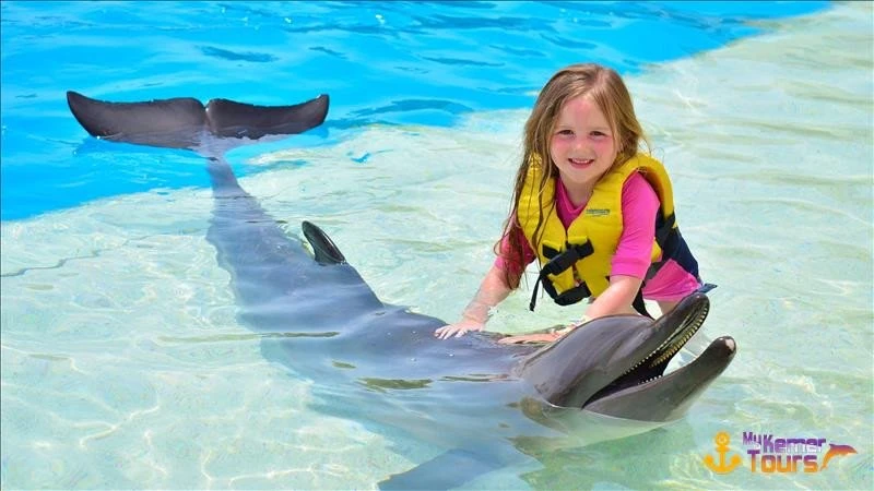 Плавание с дельфинами в Кемере
