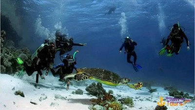 Kirish Scuba diving